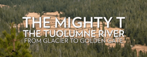 The Mighty T: From Glacier to Golden Gate