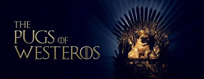 2nd DP/BTS: Pugs of Westeros